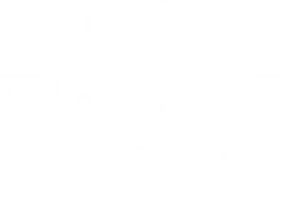 Made In Usa Logo