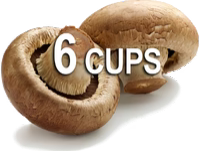 Mushrooms Logo